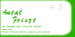 antal feiszt business card